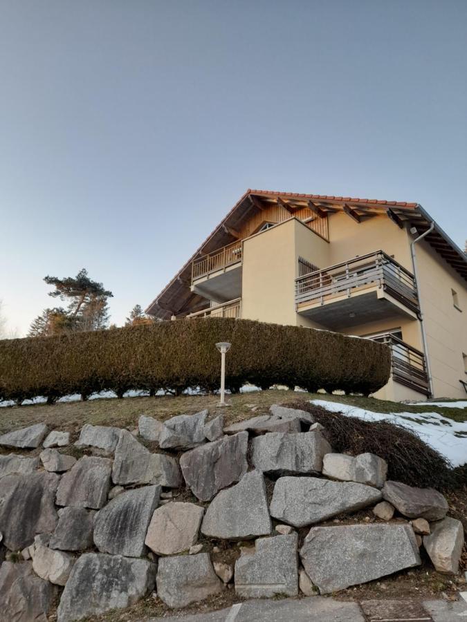 Le Lougo Apartment Gerardmer Luaran gambar